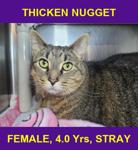 THICKEN NUGGET